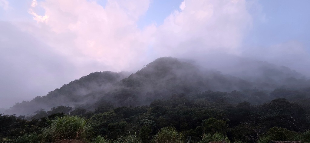 Biển mây đỉnh núi Anara Peak 1