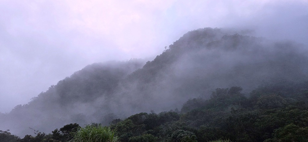 Biển mây đỉnh núi Anara Peak 2