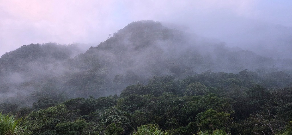 Biển mây đỉnh núi Anara Peak 5